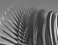 High Performance Team